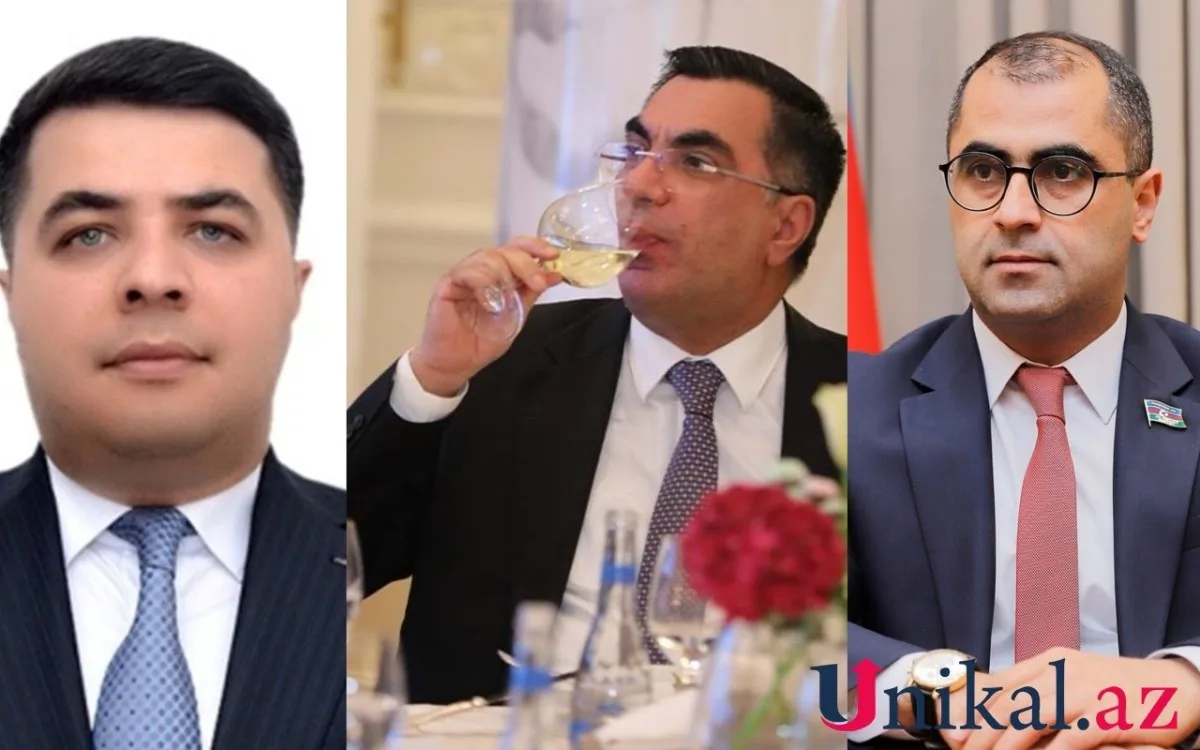 Naxçıvandakı bu deputatlar BANM rektorunun yaxın qohumları imiş