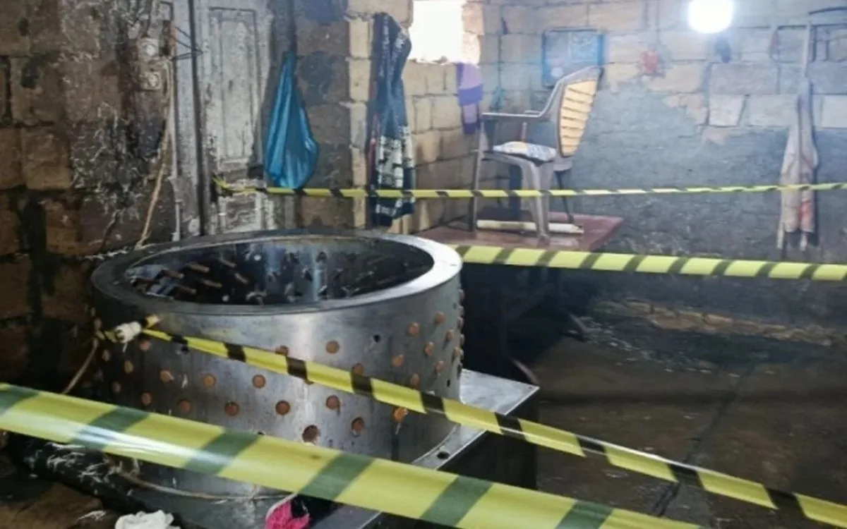 Masallıda qanunsuz toyuq kəsimi sexləri aşkarlandı