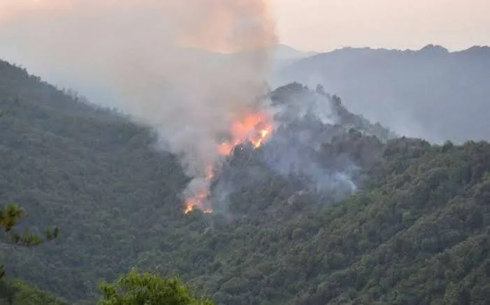 Laçında dağlıq ərazidə yanğın