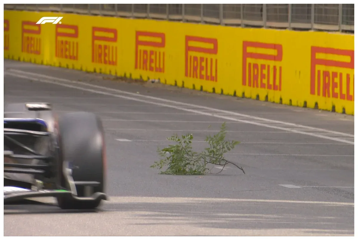 F1: Trasa ağac budağı düşdü