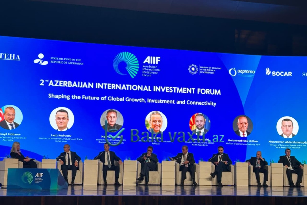 Nazir: "Azərbaycan böhranlar zamanı inkişaf kursunu qoruyub"