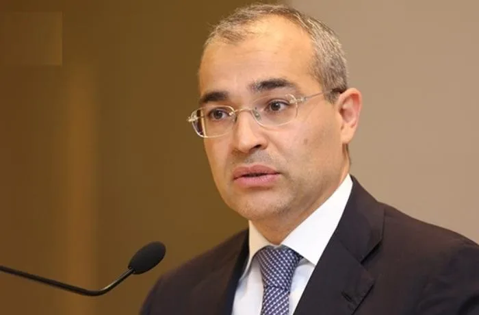 Mikayıl Cabbarov: Sülh regionun iqtisadi potensialını artırıb