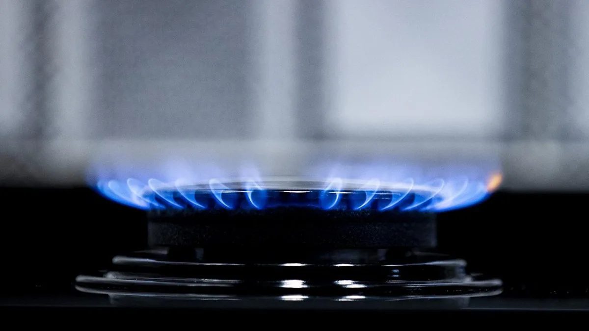 AK üzv dövlətləri enerji tələbatını azaltmağa çağırıb