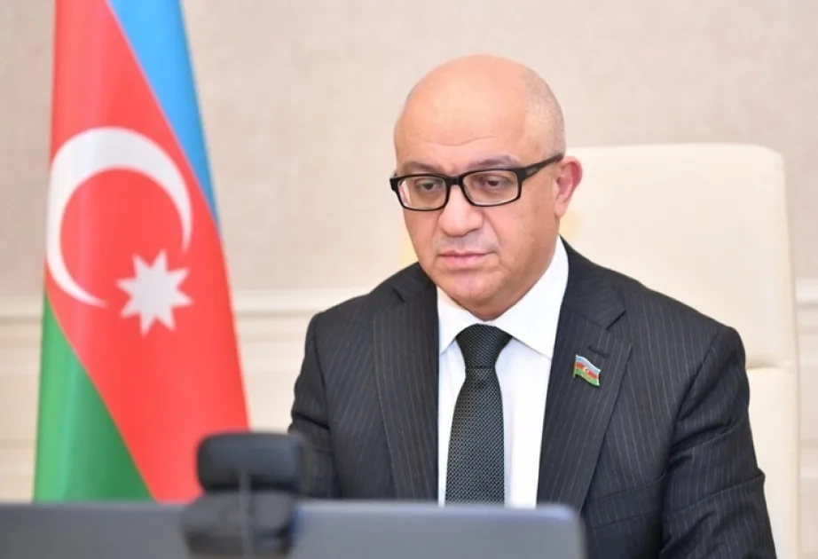 Sosial şəbəkələrdə radikallaşmanın qarşısı alınmalıdır - Sahib Alıyev