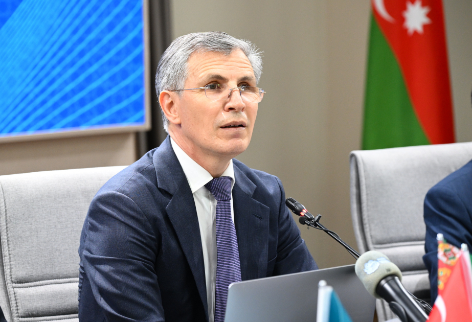 "Həmrəylik təkcə zaldan çıxmaqla ölçülmür" - Millət vəkili