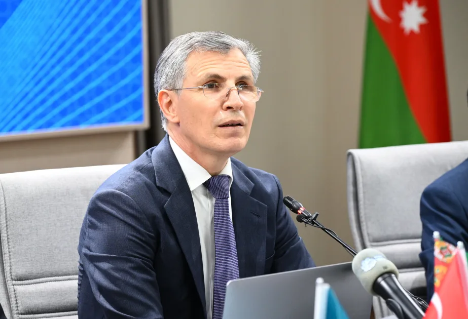 "Həmrəylik təkcə zaldan çıxmaqla ölçülmür" - Millət vəkili