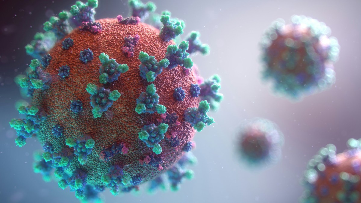Britaniyada təhlükəli virus yayılıb