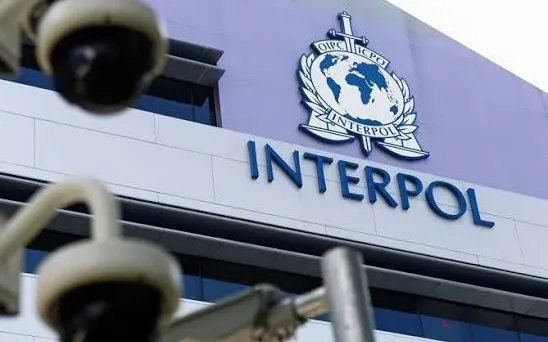 İnterpol Ermənistanda əməliyyat keçirdi - Qarabağ müharibəsi ilə bağlı silahlar götürüldü