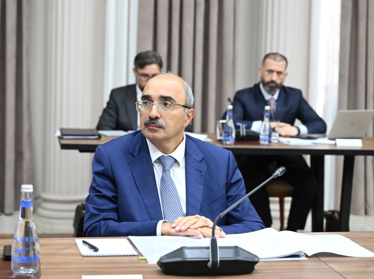 İqtisadi Şuranın növbəti iclası keçirildi - FOTOLAR