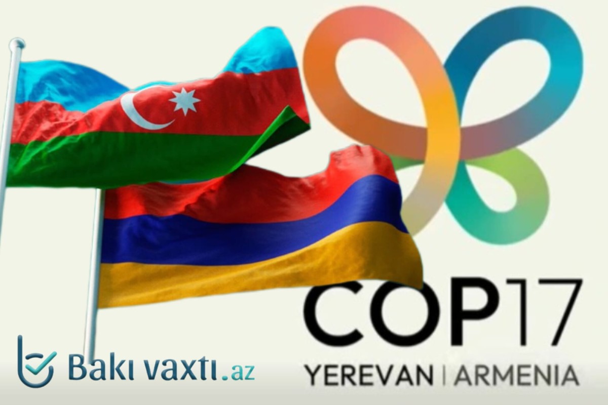 Azərbaycan COP17-də iştirak edəcək?