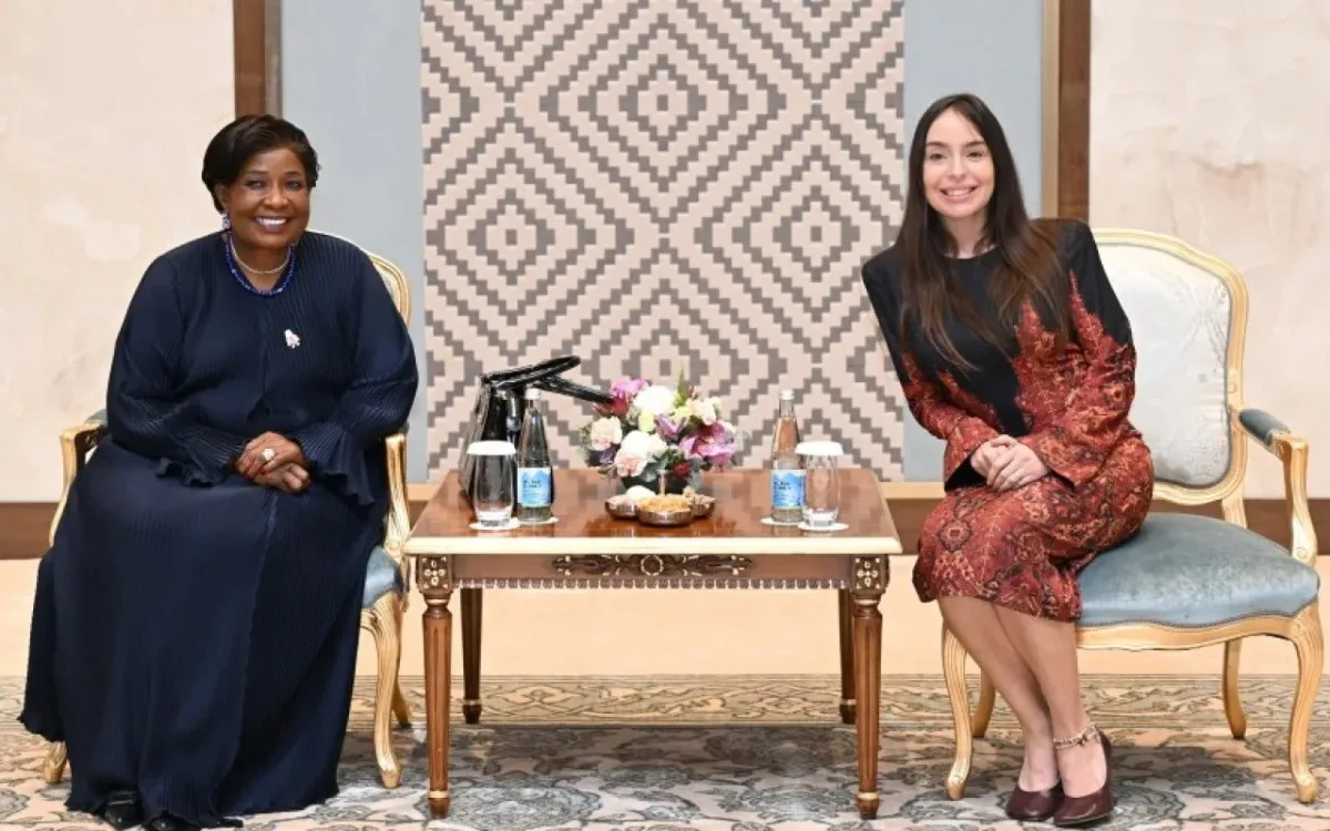 Leyla Əliyeva Zimbabvenin birinci xanımı ilə görüşdü