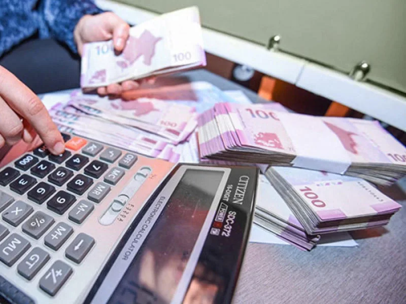 Bu şəxslərə dövlət dəstəyi şamil olunmayacaq