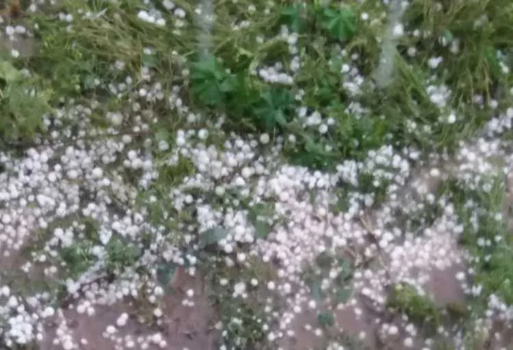 Zaqatalaya fındıq böyüklüyündə dolu yağdı